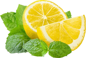 Mint & lime Makhana flavour